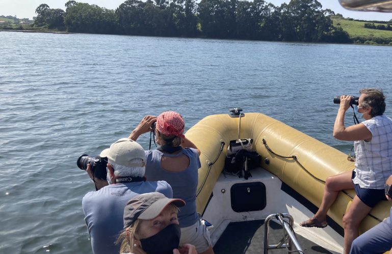 TESOROS QUE ENRIQUECEN LA BAHÍA (Ruta en barco)