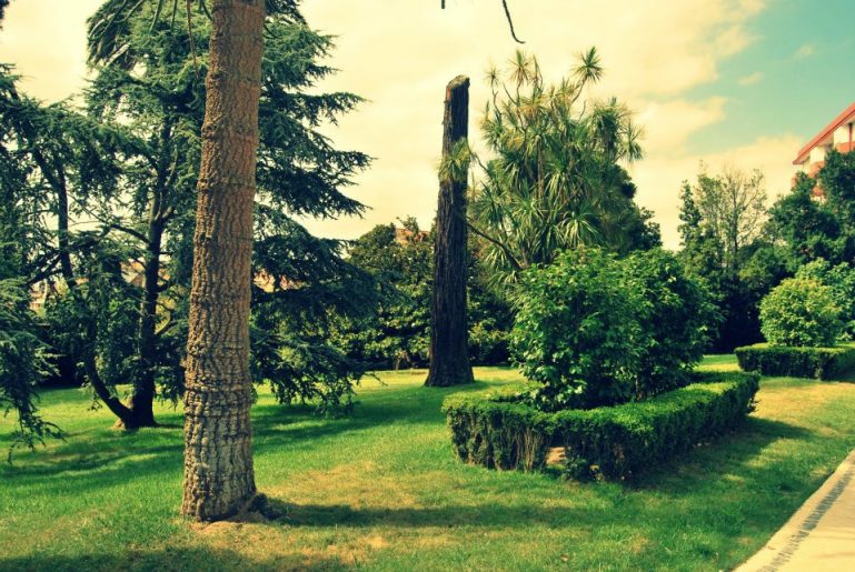 LAS CAROLINAS GARDEN